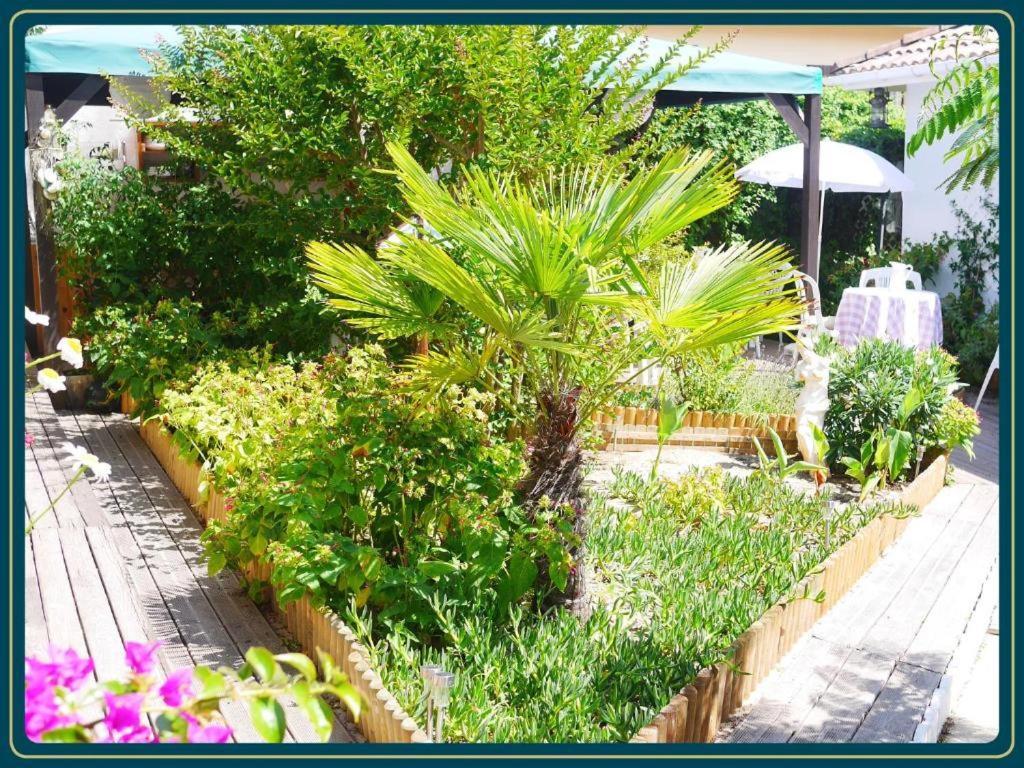 Les Embruns Apartment Mimizan-Plage Bagian luar foto
